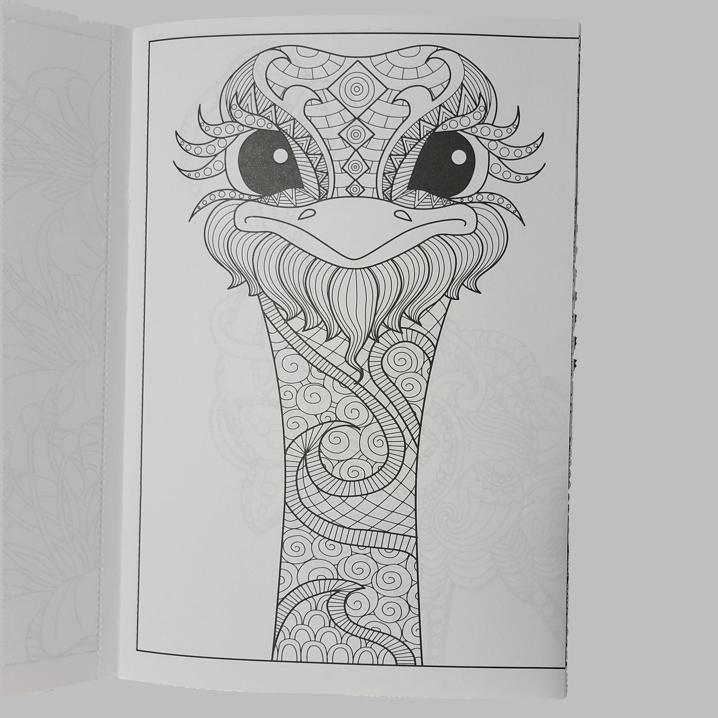 Coloring Birds - 16 Page Adult Coloring Book - NEW