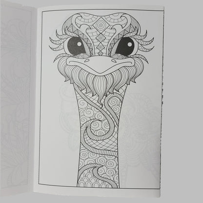Coloring Birds - 16 Page Adult Coloring Book - NEW