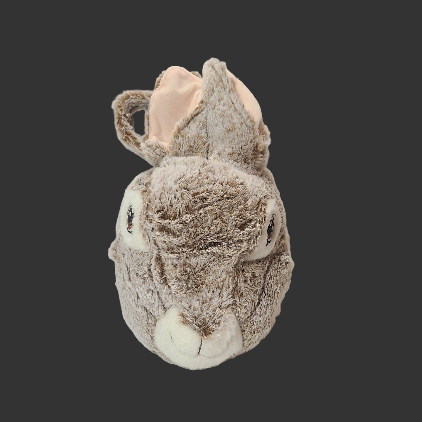 Peter Rabbit Easter Basket - NEW