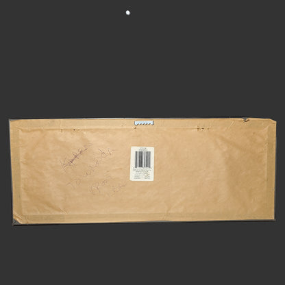 Bird Powerline Art Photo in Frame - USED