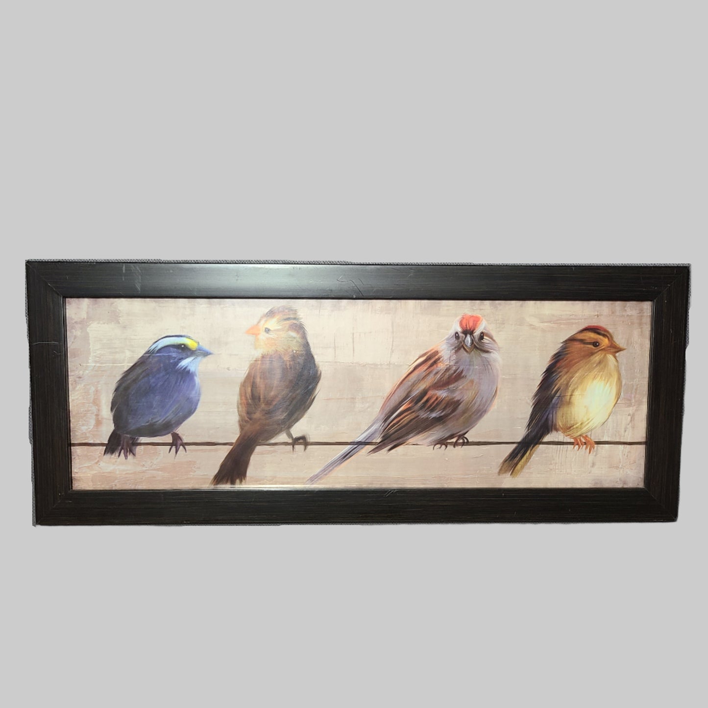 Bird Powerline Art Photo in Frame - USED