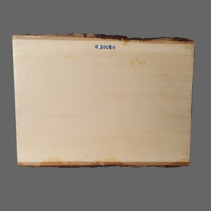 Handmade Wood Burnt Folk Art Painting - LIKE NEW